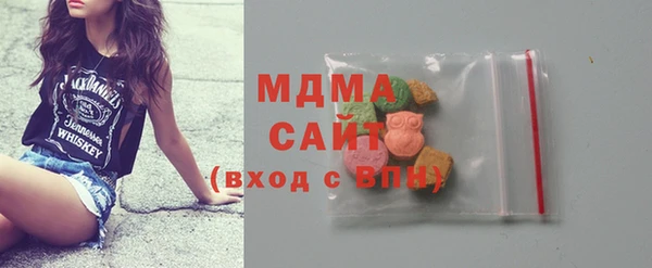 прущие грибы Горняк
