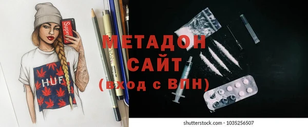прущие грибы Горняк
