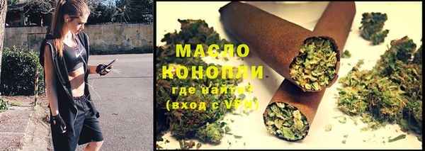 2c-b Горно-Алтайск