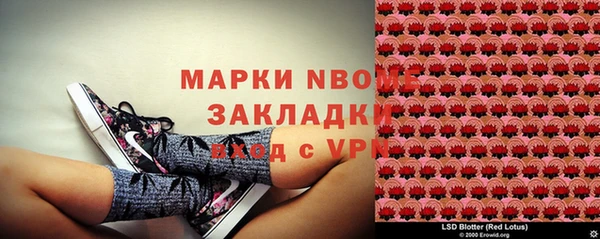 прущий лед Вяземский