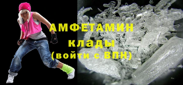 прущие грибы Горняк