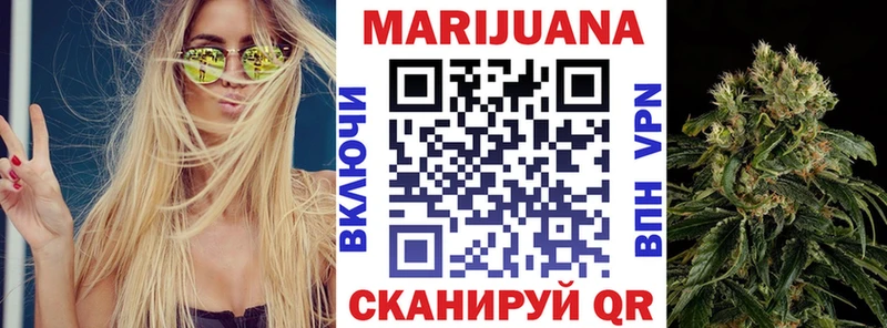 Канабис планчик  купить наркоту  Ершов 